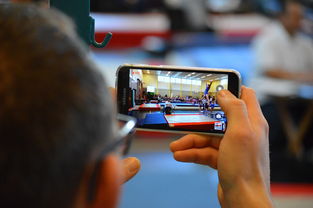 ac米兰球队官网-中国篮球联赛市场细分与营销研究，篮球联赛介绍